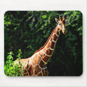 Samburu Giraffe Mousepad (Vorne)