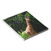 Samburu Giraffe Notizblock (angewinkelt)