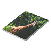 Samburu Giraffe Notizblock (Rotiert)