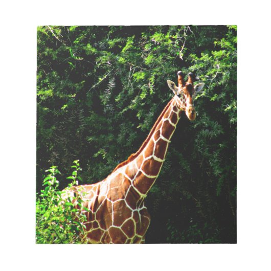 Samburu Giraffe Notizblock (Vorderseite)