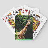 Samburu Giraffe Spielkarten (Rückseite)