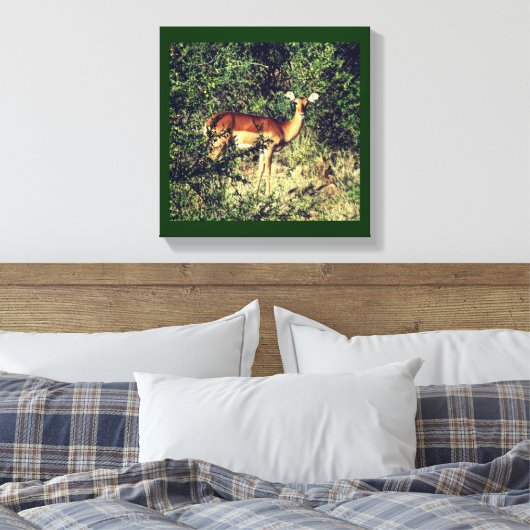 Samburu Impala Leinwanddruck (Insitu (Schlafzimmer))