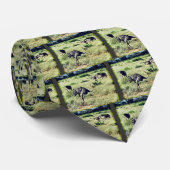 Samburu Ostriches Krawatte (Gerollt)