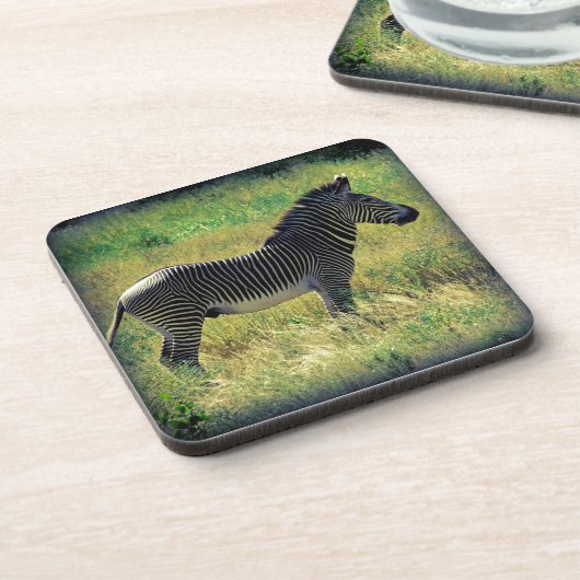 Samburu Zebra Untersetzer (Linke Seite)