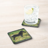 Samburu Zebra Untersetzer (Rechte Seite)