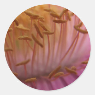 Samen-Aufkleber Runder Aufkleber