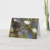 Samen des Immergrüns Feiertagskarte (Vorderseite)