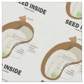 Samen innerhalb des Bohnen-Anatomie-Spaßes Stoff (Nahaufnahme)