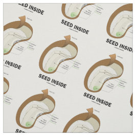 Samen innerhalb des Bohnen-Anatomie-Spaßes Stoff