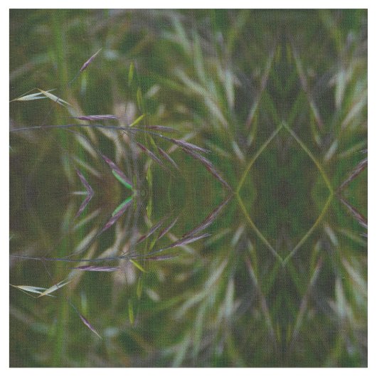 Samen Stoff (Nahaufnahme)