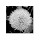 Samen von Dandelion Blume Wood Art Briefmarke Gummistempel (Prägung)