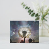 Samen von Licht und Leben Postkarte (Stehend Vorderseite)