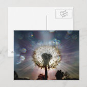 Samen von Licht und Leben Postkarte (Vorne/Hinten)