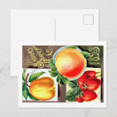 Samenpackungen. postkarte (Vorne/Hinten)