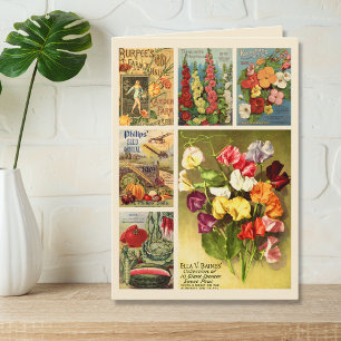 Samenpackungs Collage Vintage Blumenfarm Gefaltet