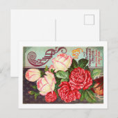 Samenpaket-Postkarten Postkarte (Vorne/Hinten)