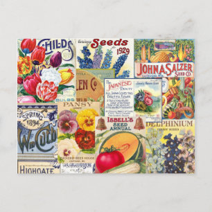 Samenpakete Postkarte