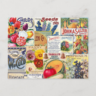 Samenpakete Postkarte