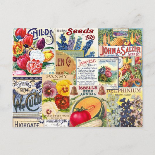 Samenpakete Postkarte (Vorderseite)