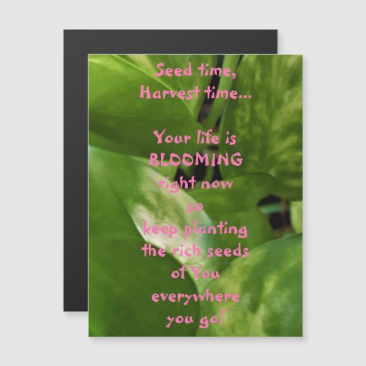 Samenzeit, Erntezeit Magnetkarte (Vorne/Hinten)