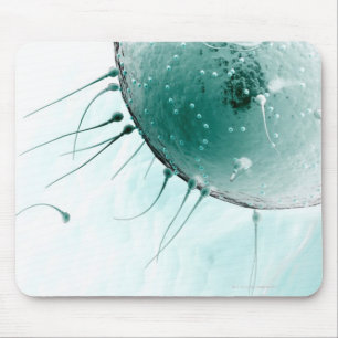 Samenzellen, die ein Ovum befruchten Mousepad