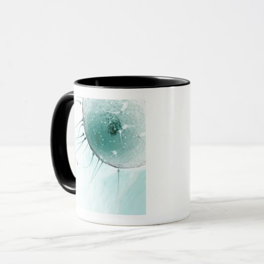 Samenzellen, die ein Ovum befruchten Tasse (Vorderseite Links)