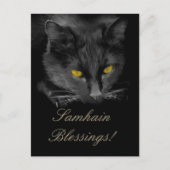 Samhain Black Cat Holiday Postkarte (Vorderseite)