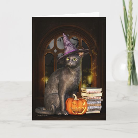 Samhain Hexe Kitty Cat Grußkarte Karte (Vorderseite)