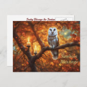 Samhain Holiday mit Owl Candles Postkarte (Vorne/Hinten)