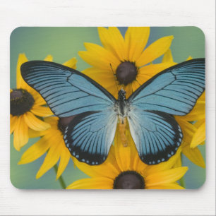 Sammamish Washington Foto eines Schmetterlings Mousepad