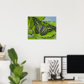 Sammamish Washington Foto of Butterfly on 11 Poster (Heimbüro)
