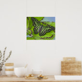 Sammamish Washington Foto of Butterfly on 11 Poster (Küche)