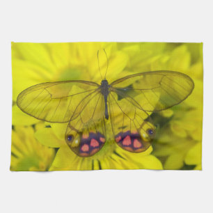 Sammamish Washington Foto von Schmetterling auf 8 Handtuch