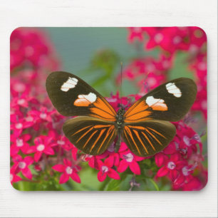 Sammamish Washington Fotograf von Butterfly auf 14 Mousepad