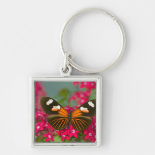 Sammamish Washington Fotograf von Butterfly auf 14 Schlüsselanhänger