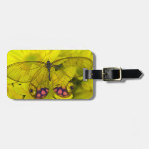 Sammamish Washington Fotograf von Butterfly auf 8 Gepäckanhänger