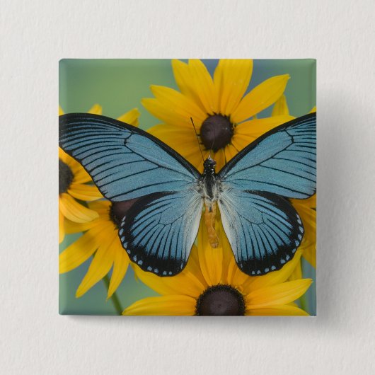 Sammamish Washington Fotograf von Butterfly Button (Vorderseite)