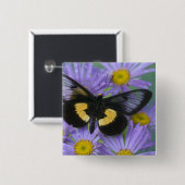 Sammamish Washington Fotograf von Butterfly Button (Vorne & Hinten)