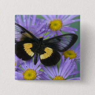 Sammamish Washington Fotograf von Butterfly Button