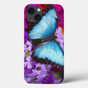 Sammamish Washington tropischer Schmetterling 7 iPhone 13 Hülle