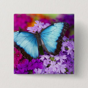 Sammamish Washington Tropischer Schmetterling Button
