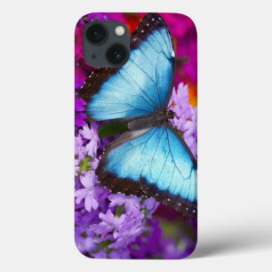 Sammamish Washington Tropischer Schmetterling iPhone 13 Hülle