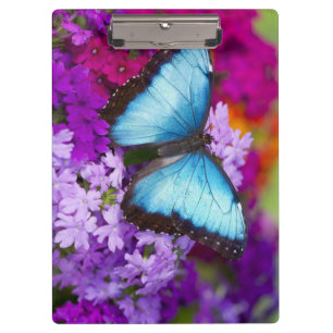 Sammamish Washington Tropischer Schmetterling Klemmbrett