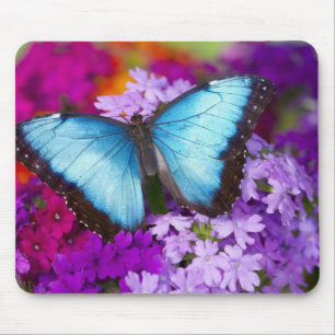 Sammamish Washington Tropischer Schmetterling Mousepad