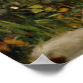 Sammeln Sie Ihre Rosenknospe während Mai - 1909 Poster (Ecke)