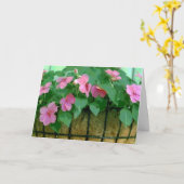 Sammeln Sie sich eine Karte mit Impatiens-Karten (Gelbe Blume)