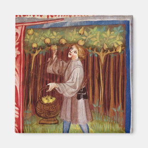 Sammelnfrucht Magnet