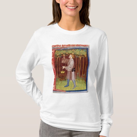 Sammelnfrucht T-Shirt (Vorderseite)