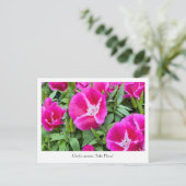 Sammelpostkarte für Satin oder Godet Blume Postkarte (Stehend Vorderseite)