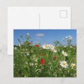 Sammelpostkarte Postkarte (Vorne/Hinten)